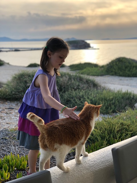So many cats around Greece - Olivia made good friends with this one at the Hotel Grotta