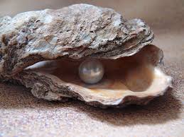 What is a Cultured Pearl? — earthbeat designs, Unique Handcrafted Designer Jewelry