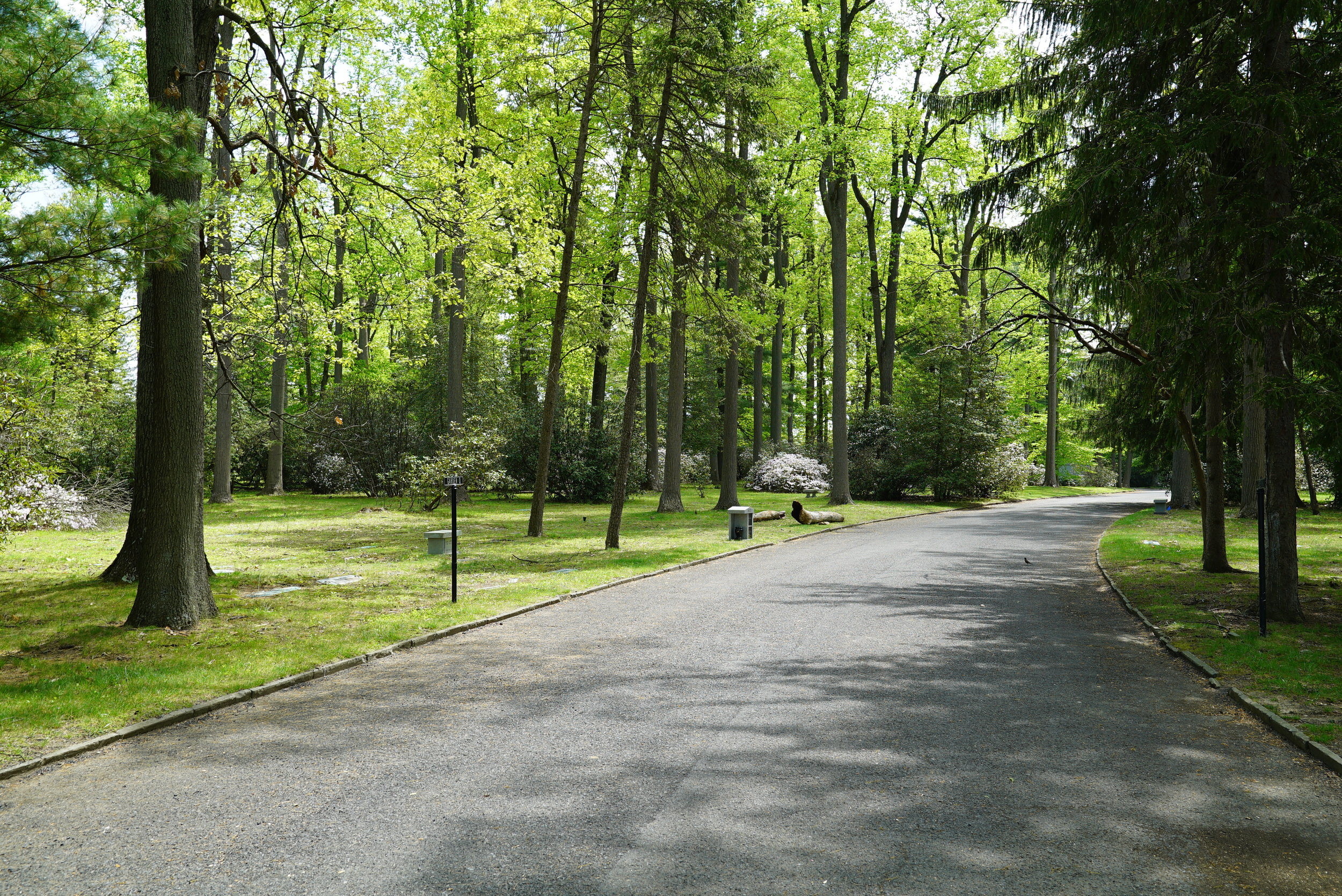 Whitemarsh Memorial Park Cemetery - Ambler, Pennsylvania — Local ...