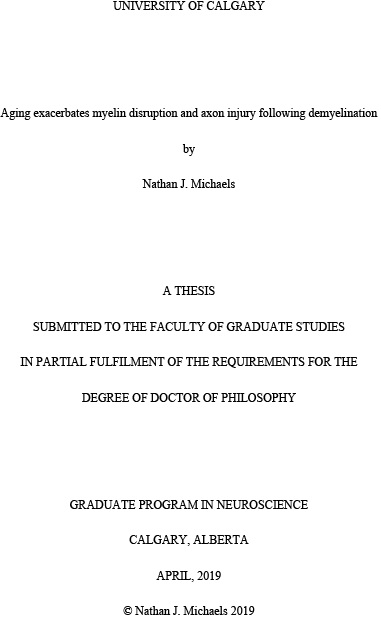 master thesis thank you