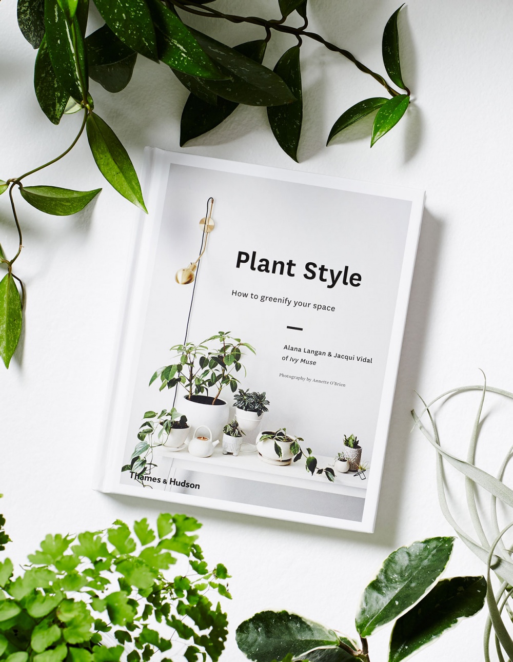 Plant Style: How to greenify your space by Alana Langan and Jacqui Vidal