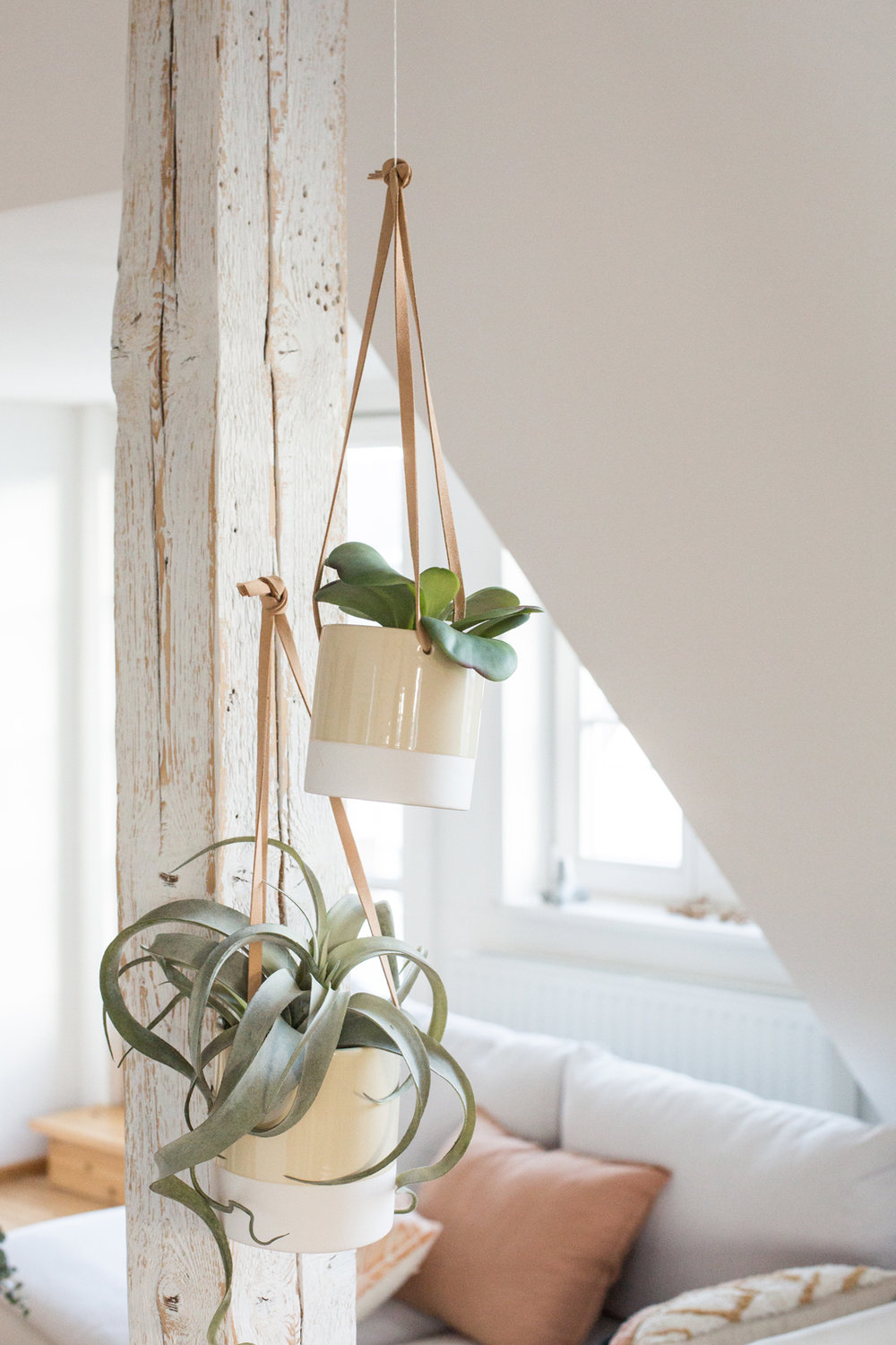 Faux leather straps with ceramic pots to hang for the Urban Jungle