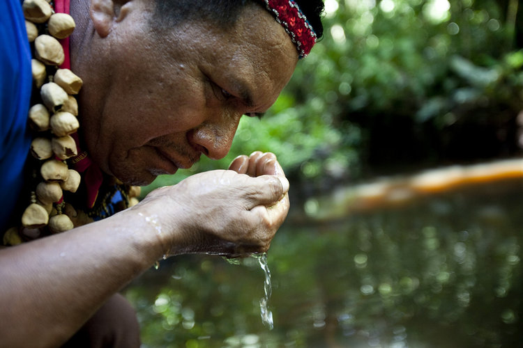 Cofan Indigenous leader Emergildo Criollo smells the petroleum contaminated river near his home in the Amazon rainforest. The Cofán people have suffered numerous health and environmental problems due to oil production on their lands by Texaco (now Chevron) in the late 1960s. Photo credit: Caroline Bennett / Rainforest Action Network