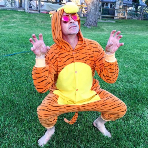  "The wonderful thing about Tiggers, is Tiggers are wonderful things..." 