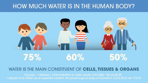 How much water is in the human body.png