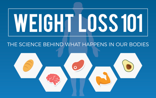 Infographic_WeightLoss101_FeatImage_1504x944px_v3b.png