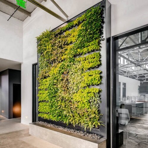 Custom Living Walls for Any Space