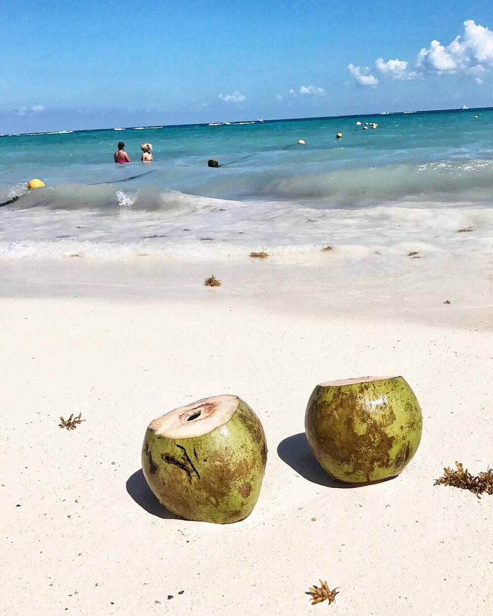 coconuts on the beach, playa del carmen, where to go to stay in playa del carmen, tropical vacation ideas, everyday pursuits, travel