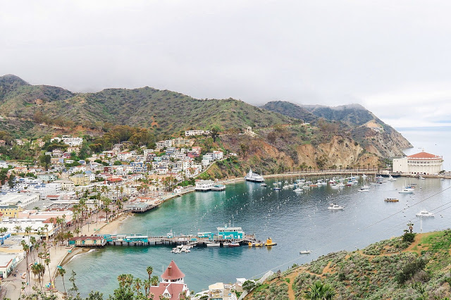 what to do in Catalina, Avalon Bay, Catalina Travel Guide