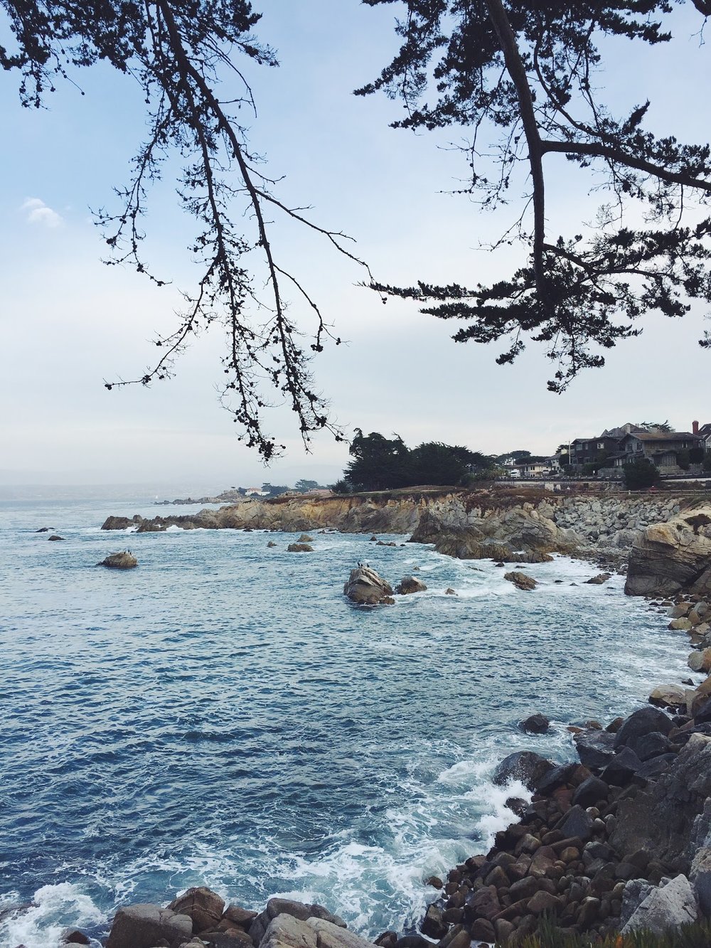 Lovers point Monterey, Monterey scenic outlook