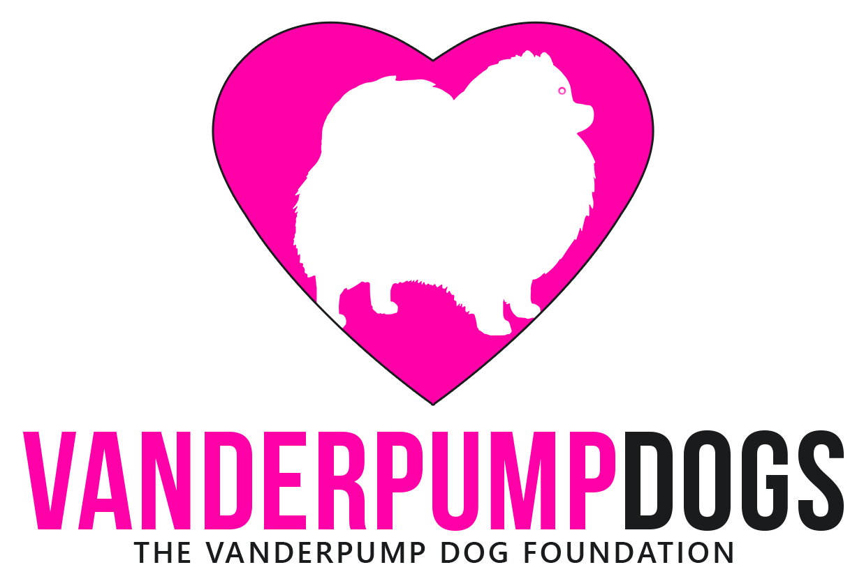 The Vanderpump Dog Foundation