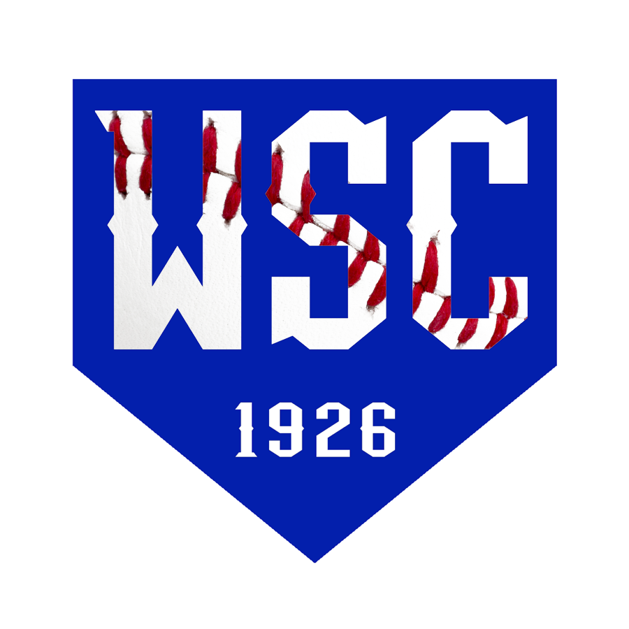 Bucky Dent — World Series Club