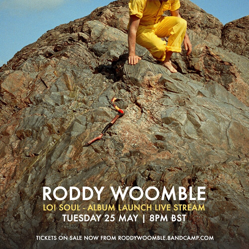 Roddy Woomble Livestream