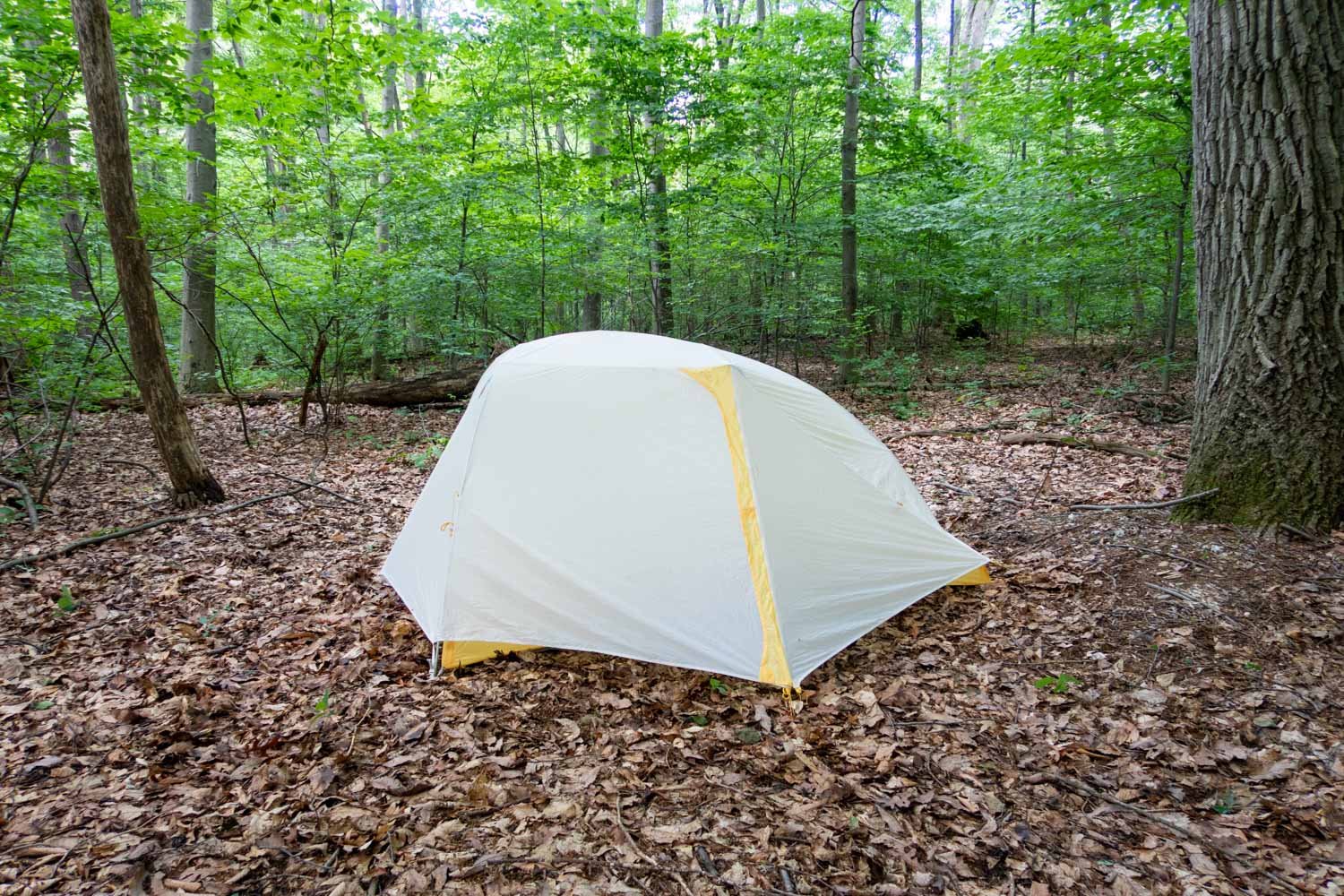 Do you Need a Footprint for your Backpacking Tent? — Into the Backcountry
