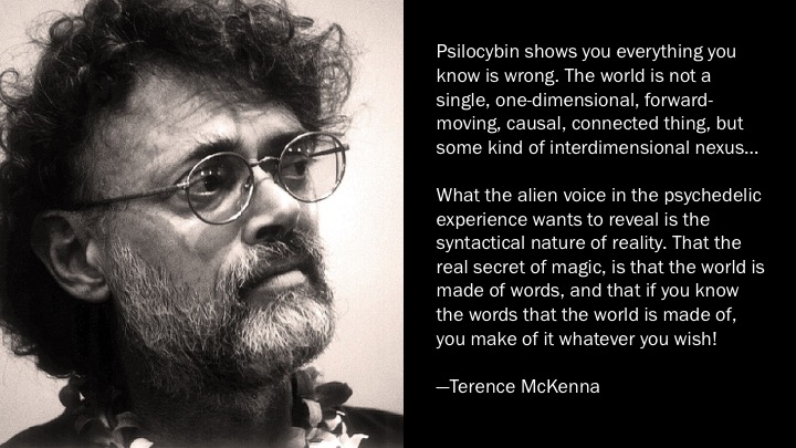 Image result for terence mckenna