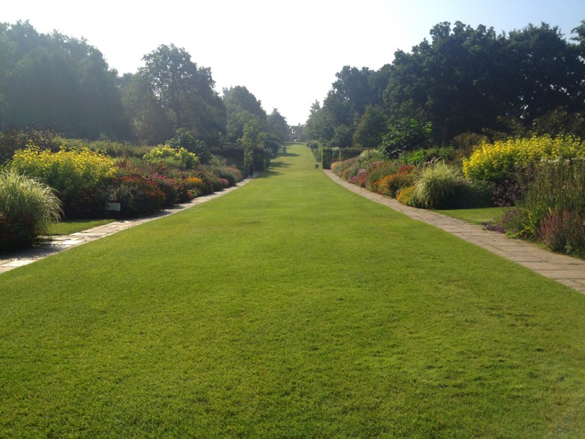 The late-blooming Long Borders were the most unexpected and impressive surprise at Wisley.