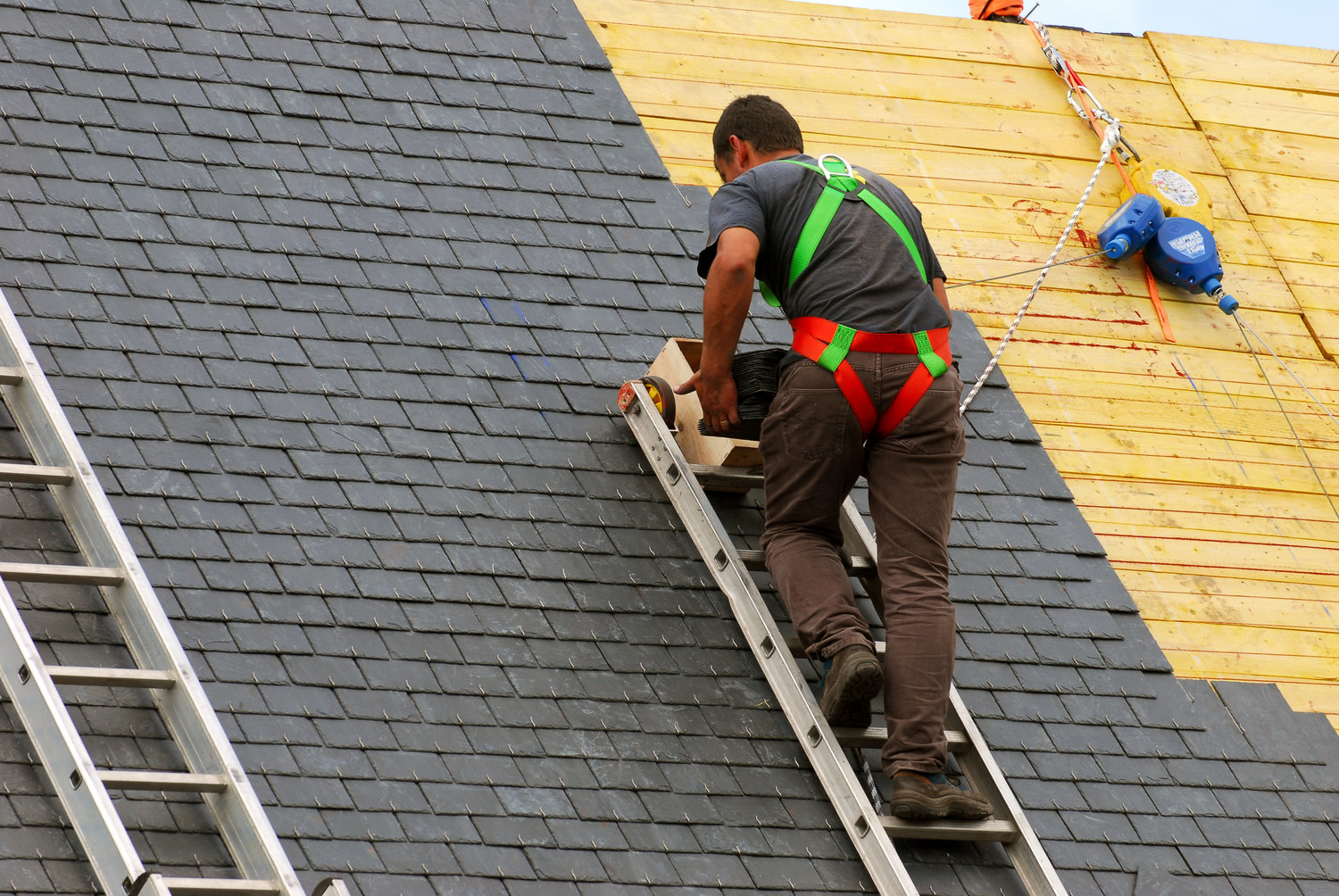 Specialist Roofing Services