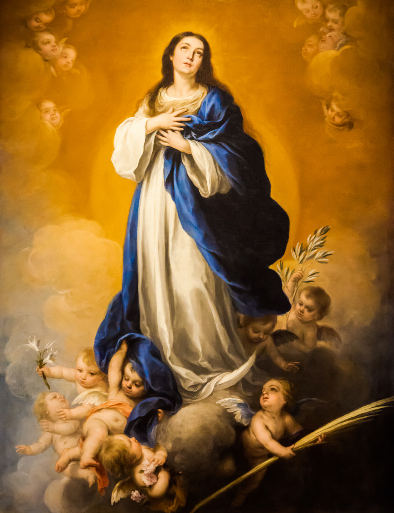 Immaculate Conception Holy Day Mass Schedule — Our Lady of Mercy