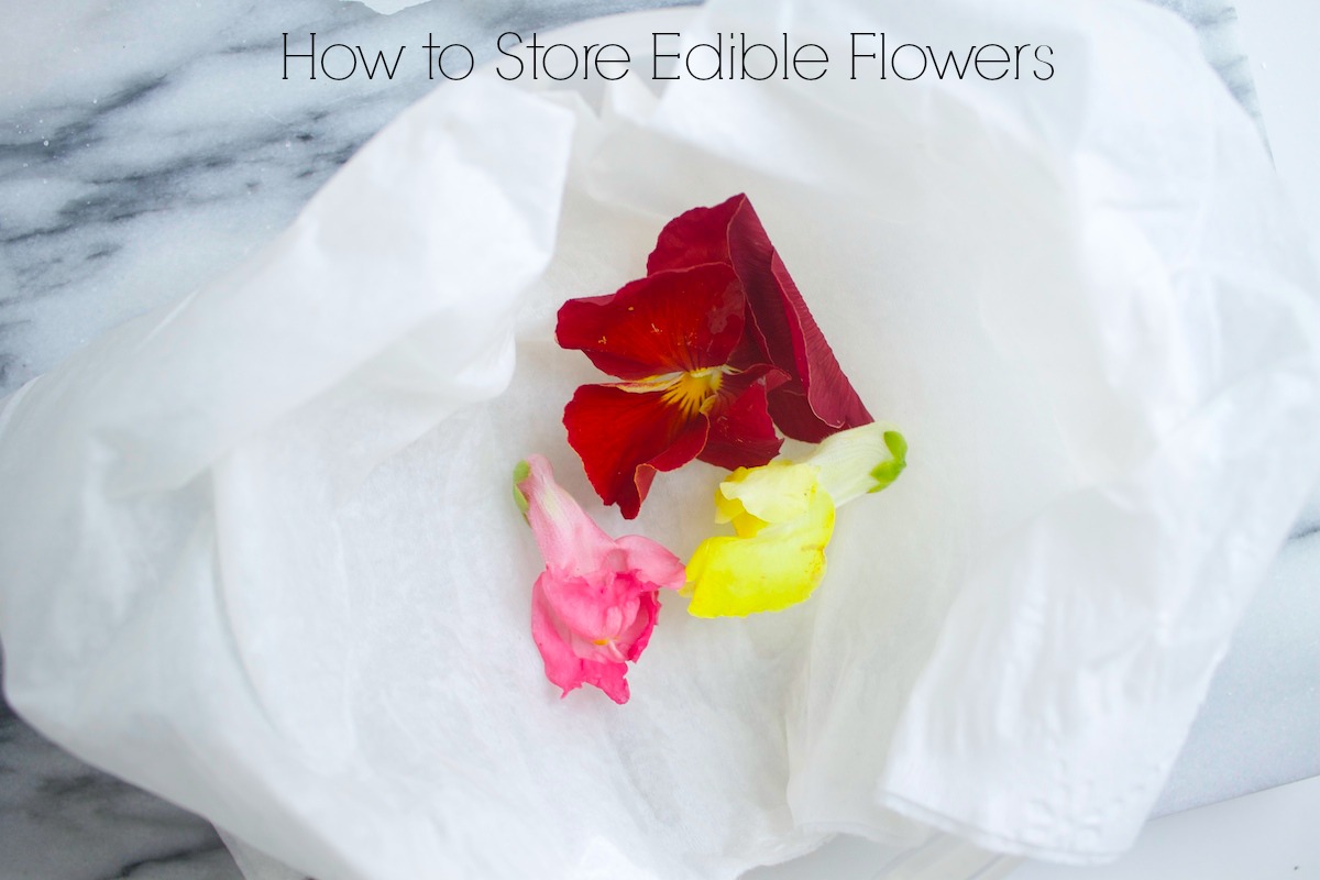 The Basics of Edible Flowers — Runway Chef