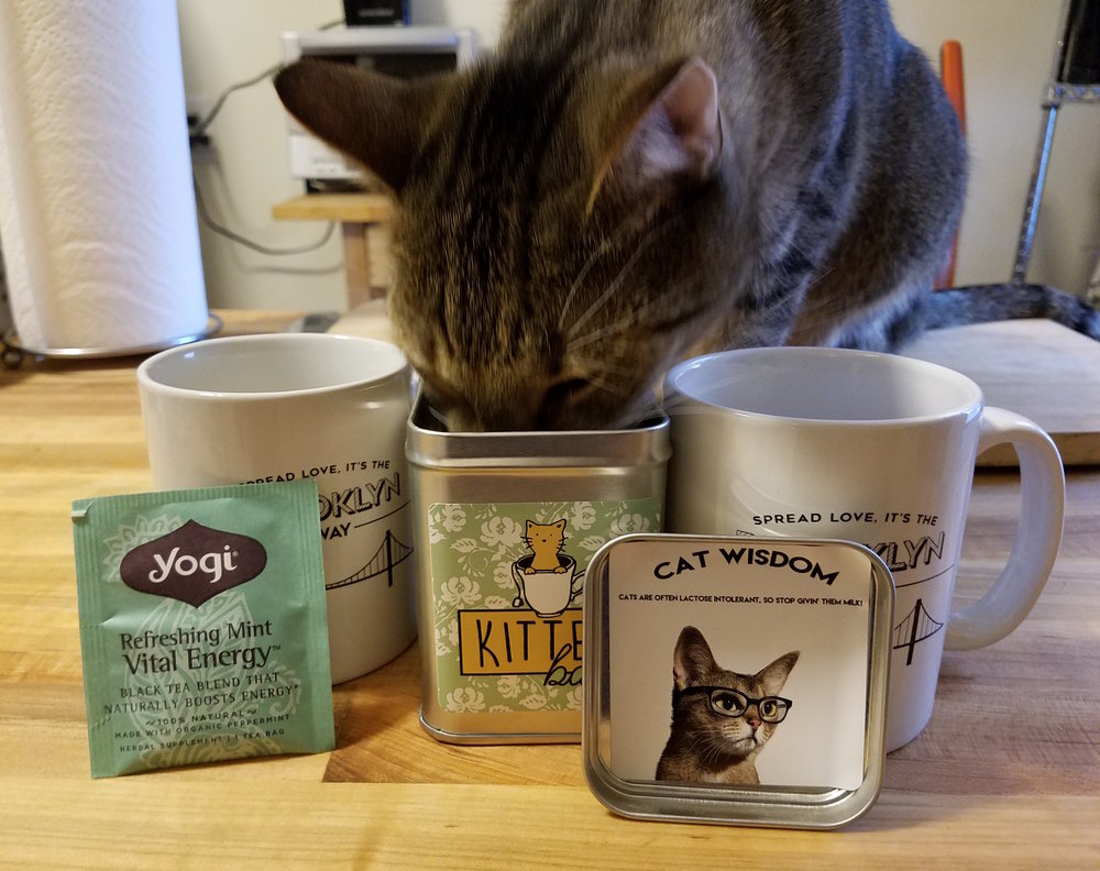 Review Pet Winery's 'KitTea' Catnip Tea Bags — That Cat Blog