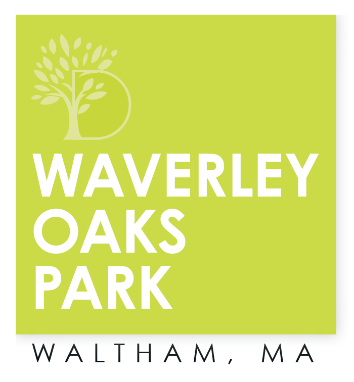 Office Space Waverley Oaks Park Waltham Ma