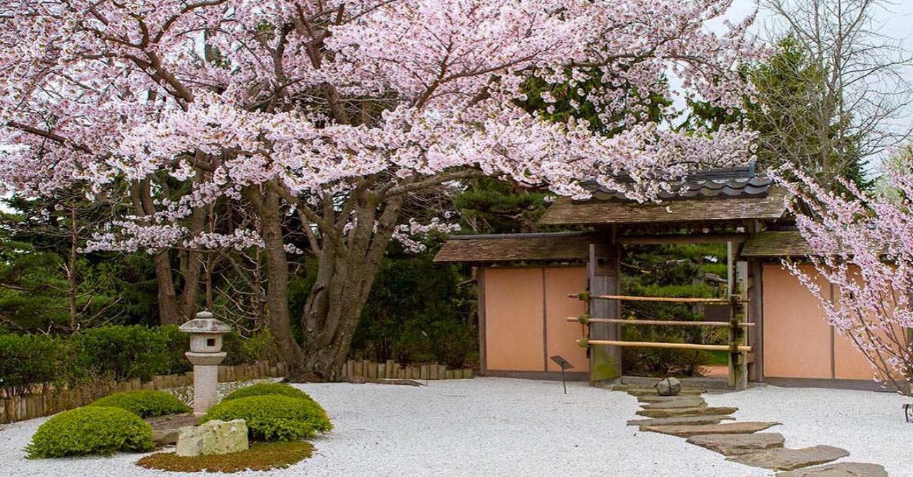 12 stunning japanese gardens in america you can't miss