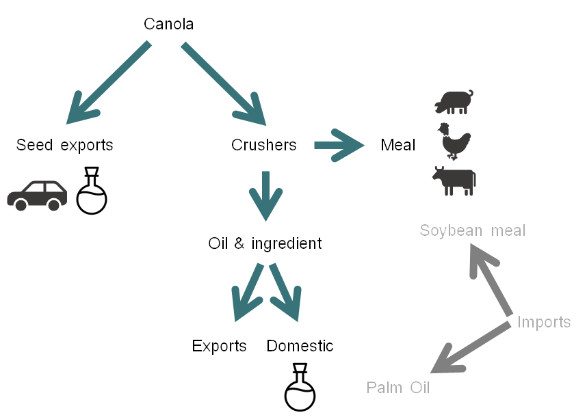 Figure 1 - The various uses of canola