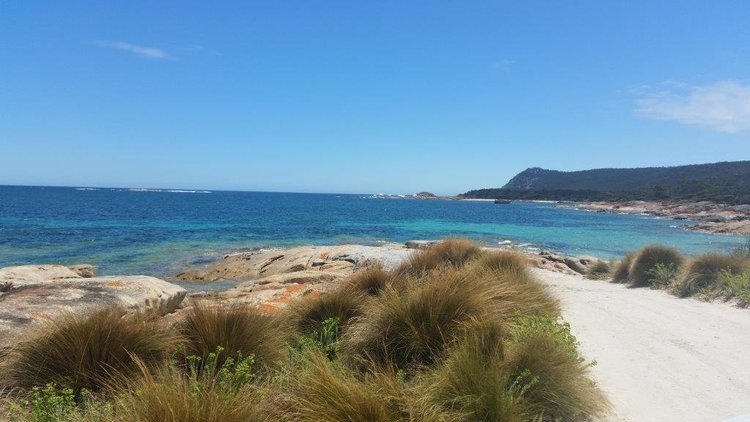Flinders Island Tassie4Kids