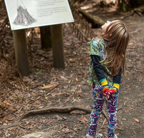 Mt Field National Park. Image shared by Instagram/happiness_is_homeschool