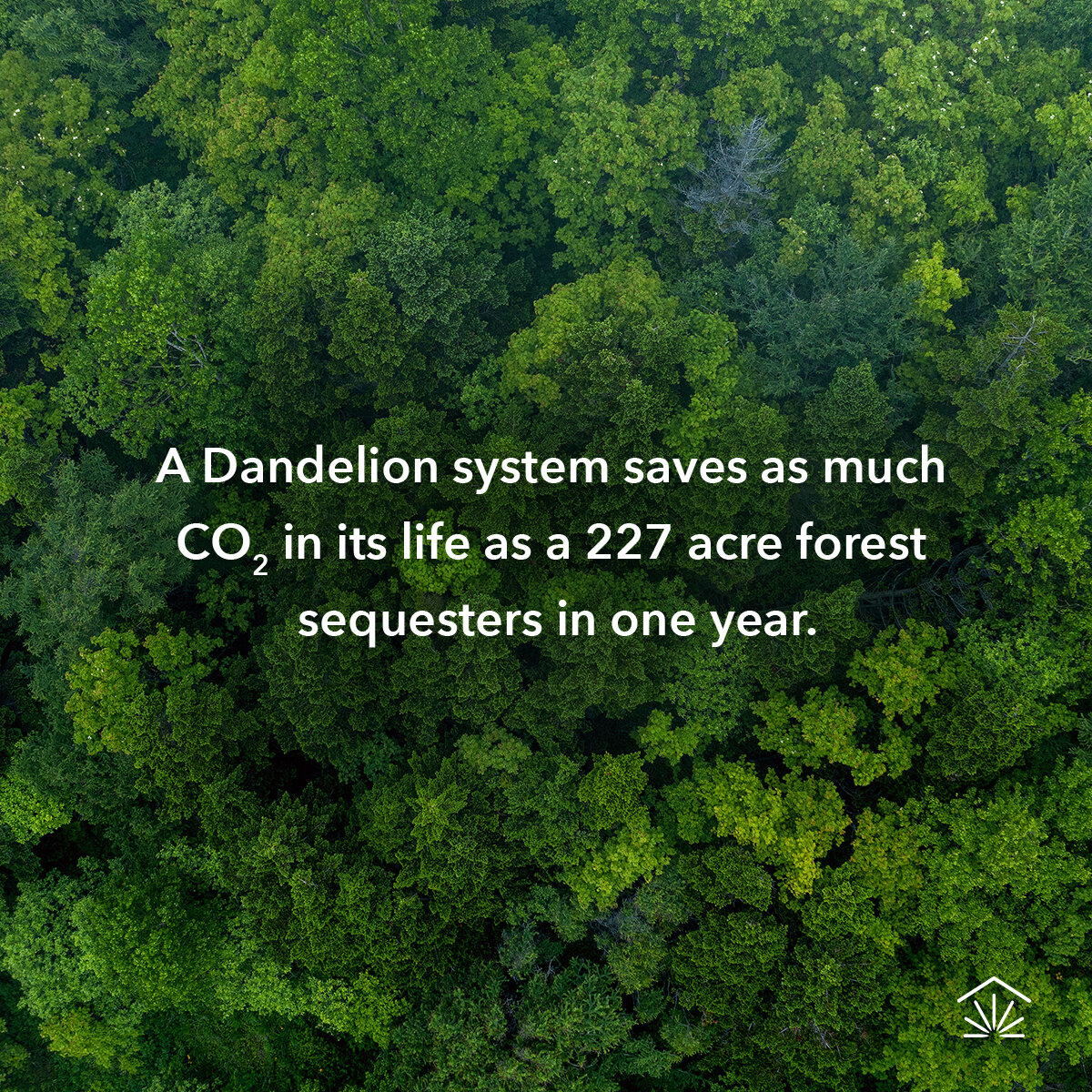 A photograph of a forest with the text 'A Dandelion system saves as much CO2 in its life as a 227 acre forest sequesters in one year.'