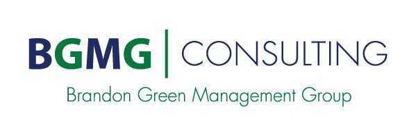 Government Management Consulting Services