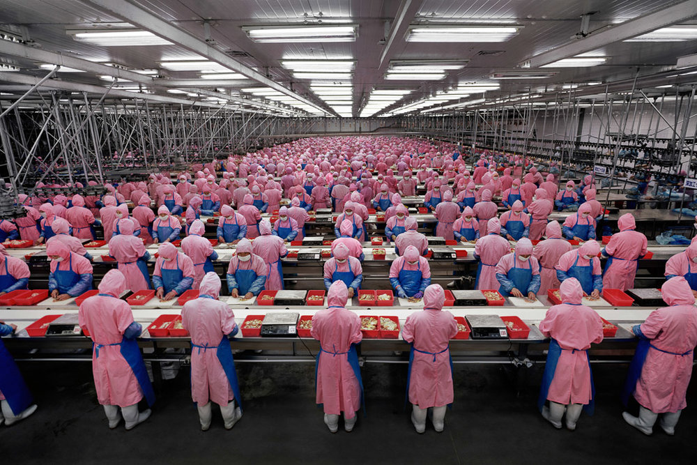   Manufacturing #17  Deda Chicken Processing Plant, Dehui City, Jilin Province, China, 2005 