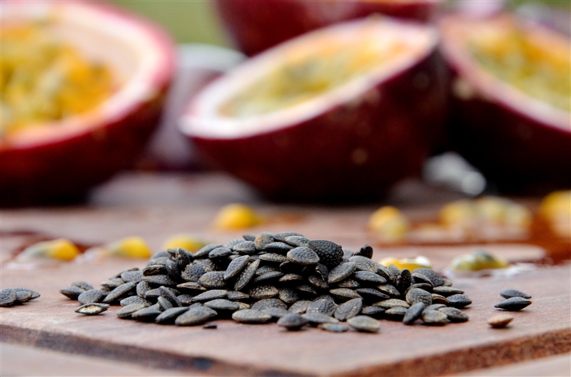 Passionfruit seed