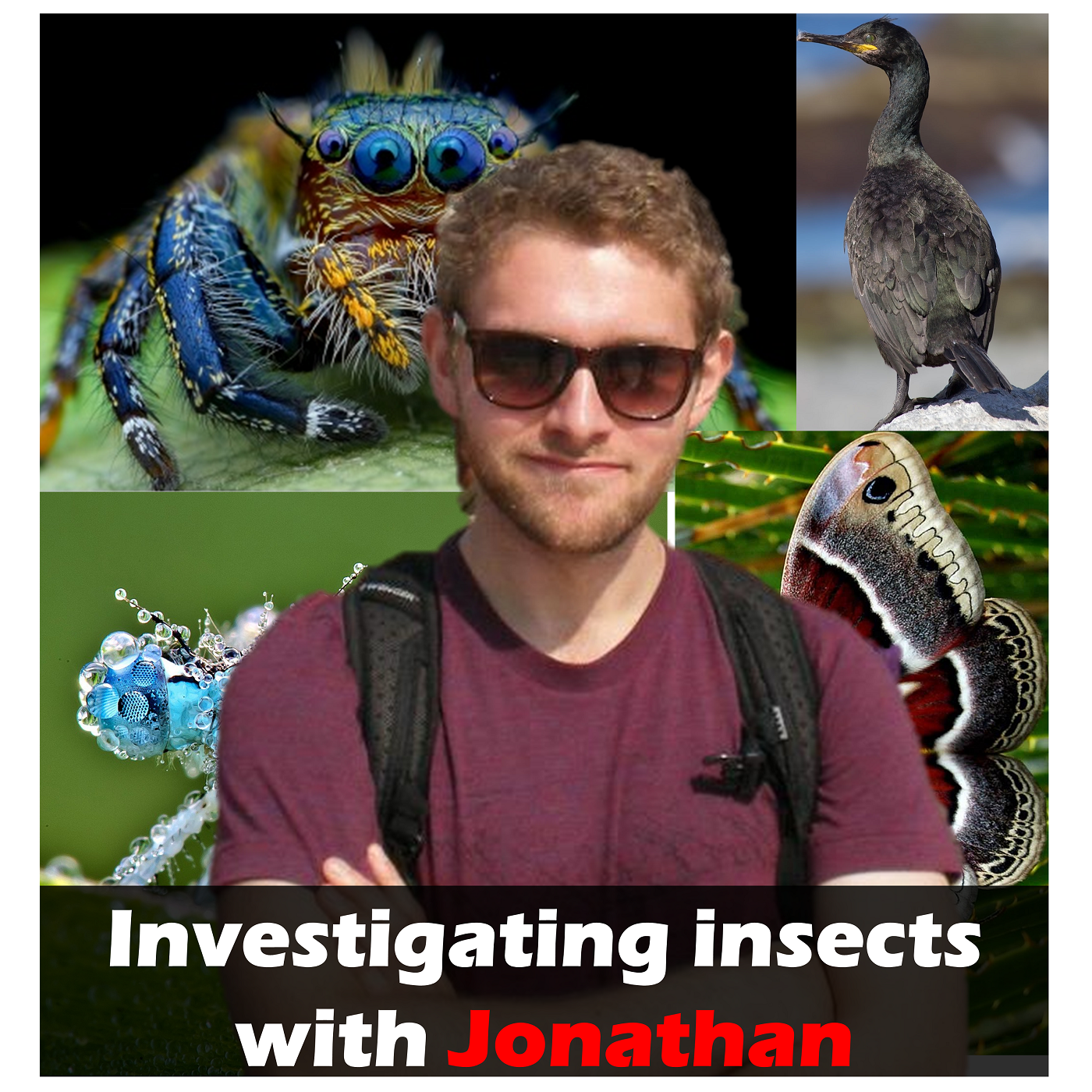 #25 Investigating Insects with Jon
