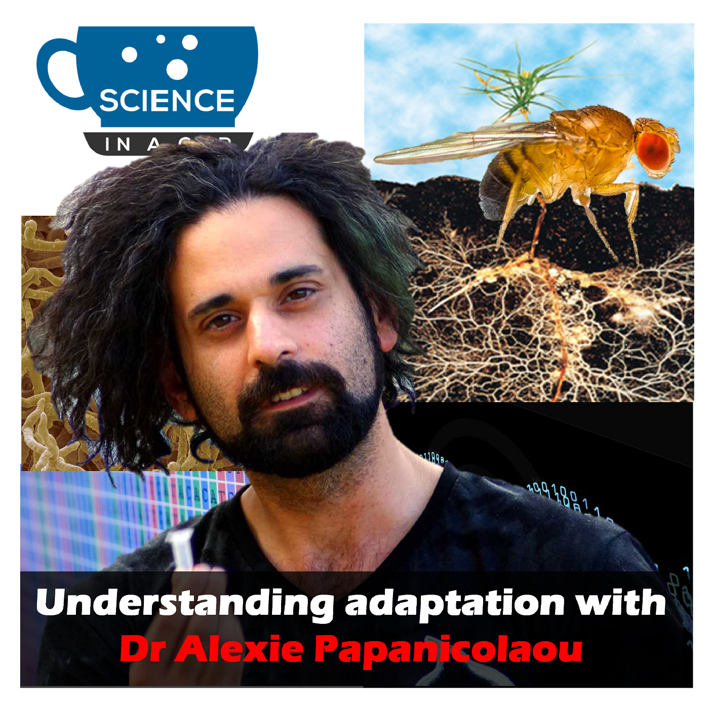 #26 Understanding Adaptation with Alexie Papanicolaou