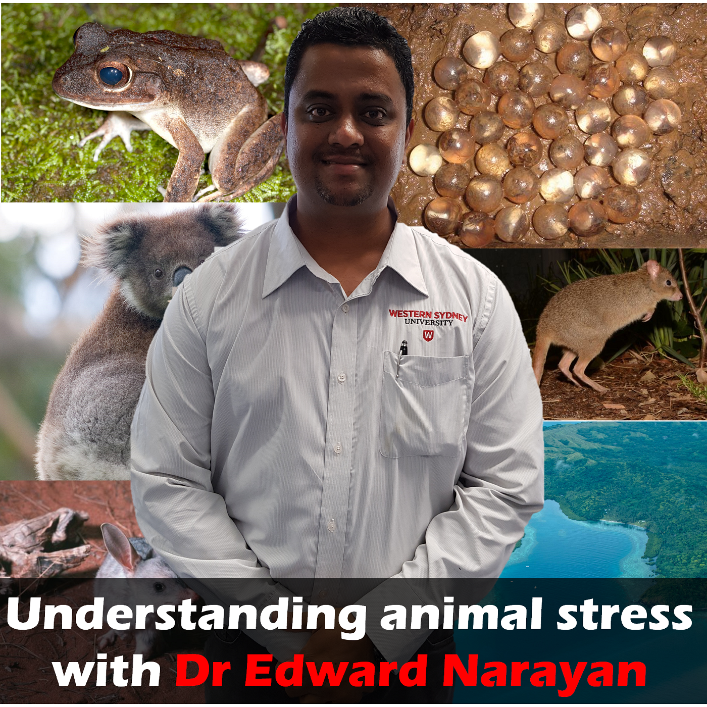 #36 Understanding animal stress with Dr Edward Narayan