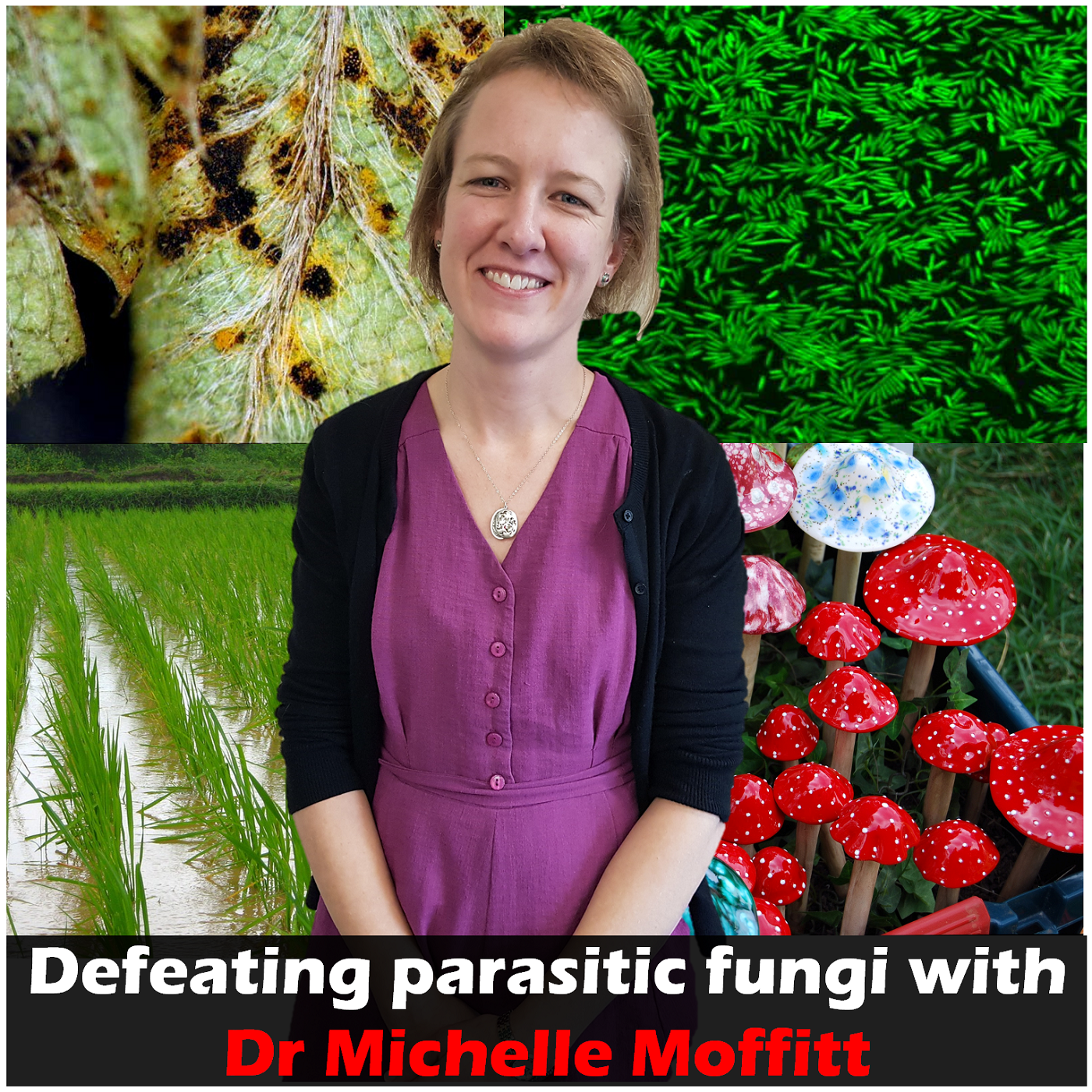4.1 Defeating Parasitic Fungi with Dr Michelle Moffitt