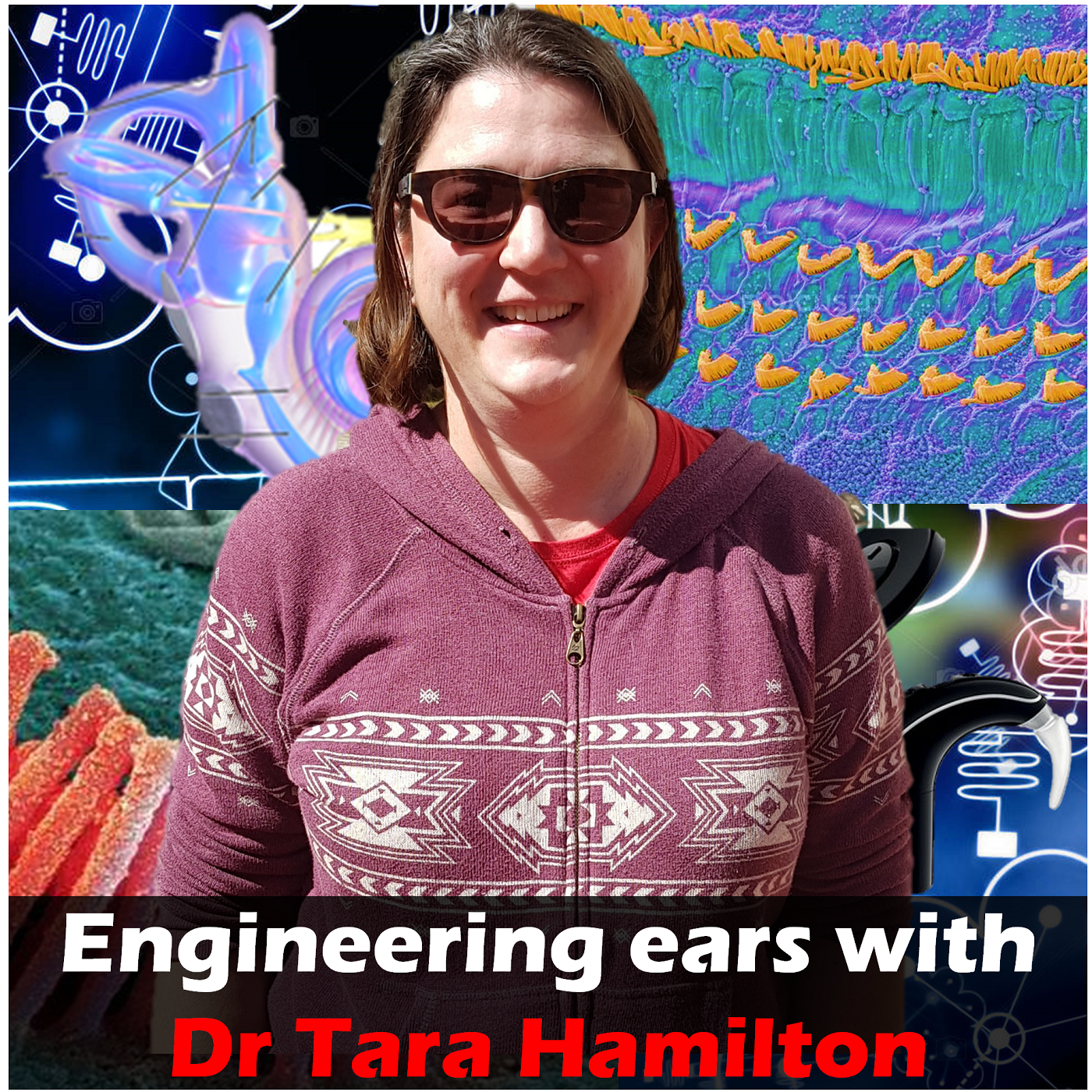 4.4 Engineering ears with Dr Tara Hamilton