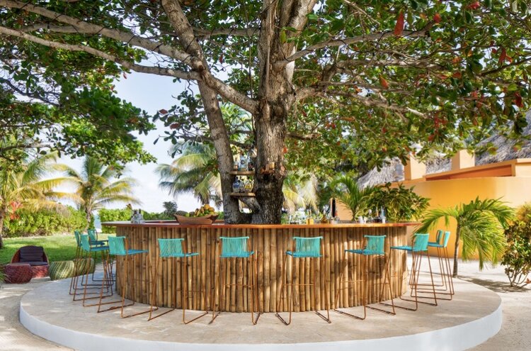 Danny's Tree Bar  - newly built around an old tree on the property, the bar was constructed using locally sourced wood and bamboo.