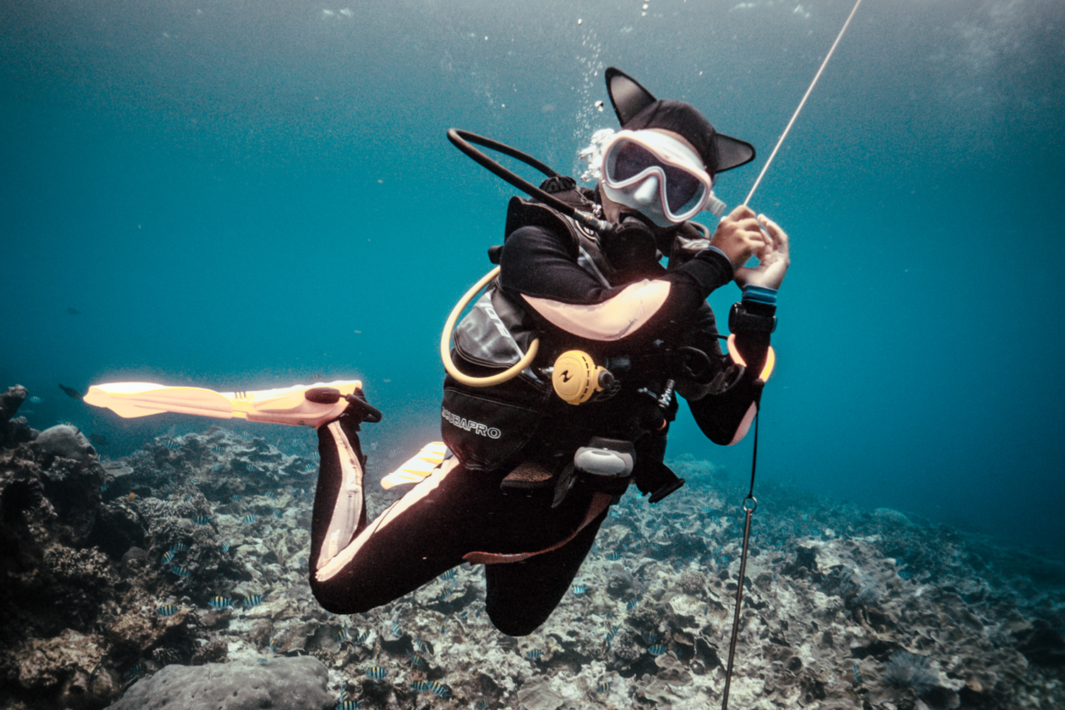 Scuba Diving Indonesia Padi