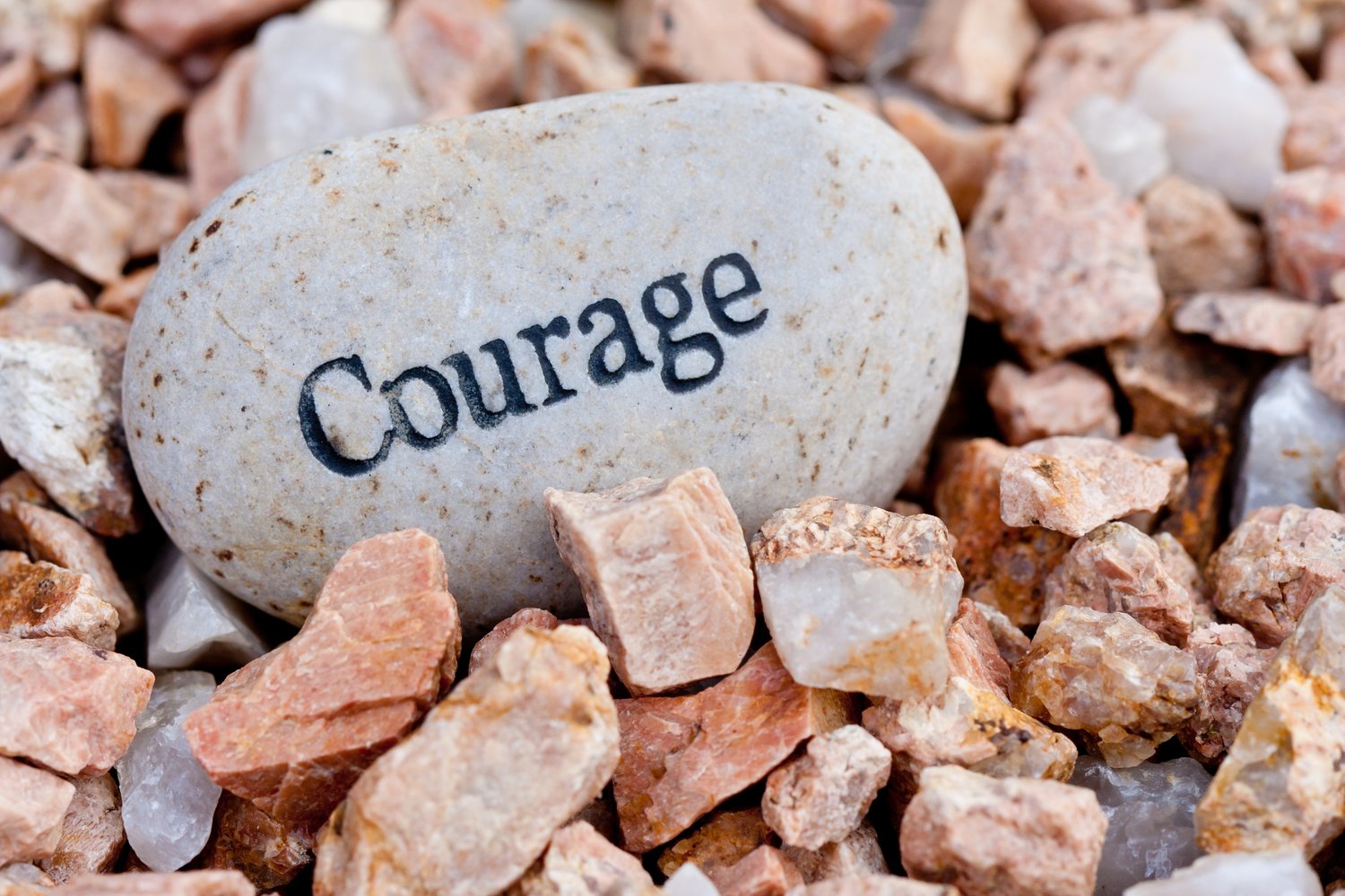 Image result for courage