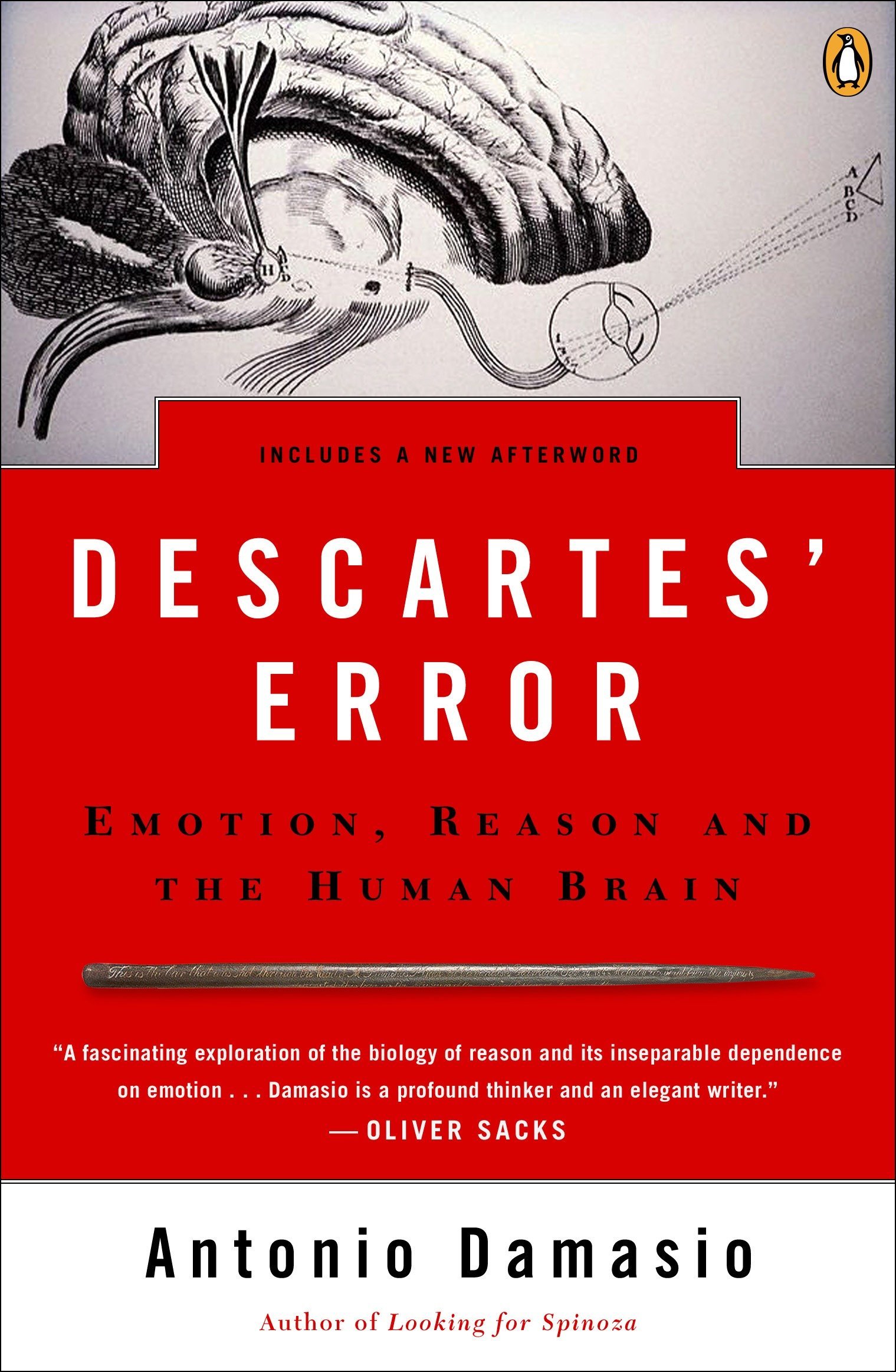 Damasio's Descartes' Error