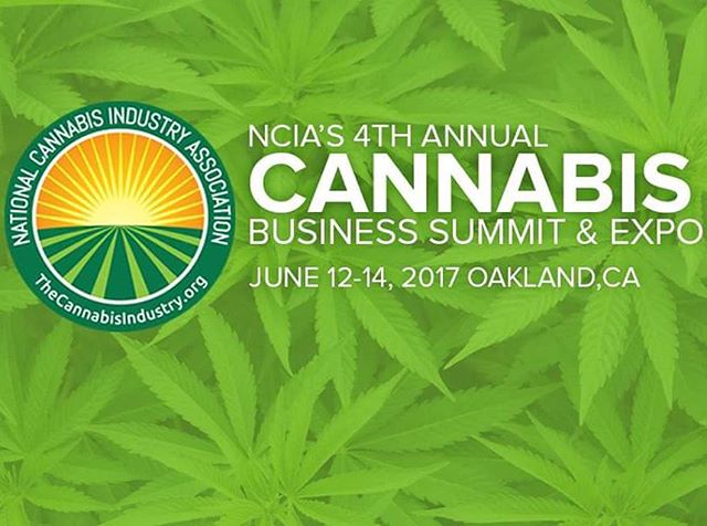 Who's going to the @nationalcannabisindustry business summit and #expo? We'll be at booth #616.

#oneleafatatime #womenwhogrow #womenofweed #womeninweed #cannabiscommunity #cannabissociety #classycannabis #sativadivas #marijuanaheals #cannabis #cannabiz #Sativa