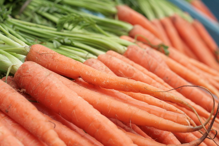 carrots.jpeg