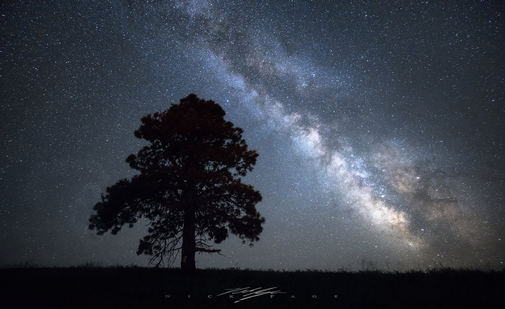 lonely-tree-under-the-stars.jpg