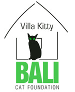 villa-kitty-bali.jpg
