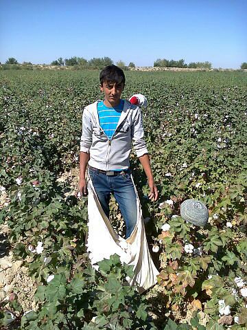 Government of Uzbekistan Increased Forced Labor of Adults in 2014 Cotton Harvest