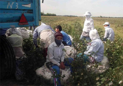 World’s Largest Retailers Take Stand Against Forced Labor in Uzbek Cotton Harvesting | RSN