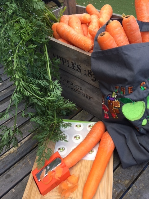 Cool Food School carrots