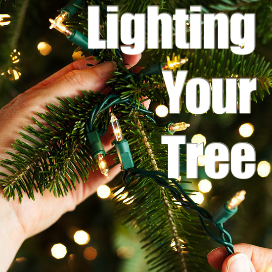 Lighting Your Christmas Tree
